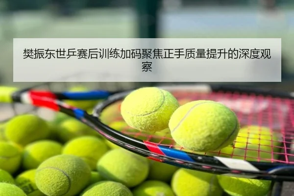 樊振东世乒赛后训练加码聚焦正手质量提升的深度观察