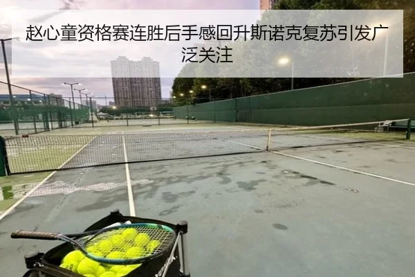 赵心童资格赛连胜后手感回升斯诺克复苏引发广泛关注